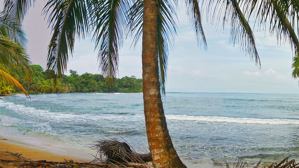 Le Panama, un très bon choix de destination pour le surf foil