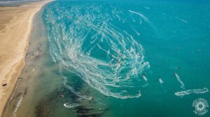 Tout savoir sur le Défi Wind Gruissan 2026